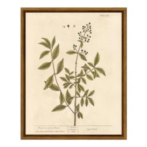 Framed Boho Wall Art with Holder, Botanical Print Canvas Wall Art  Rustic Vintage Farmhouse