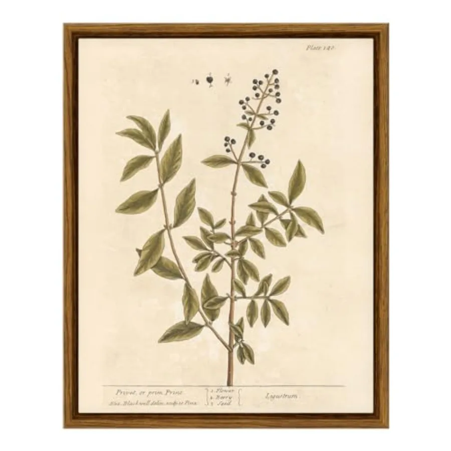 Framed Boho Wall Art with Holder, Botanical Print Canvas Wall Art  Rustic Vintage Farmhouse - Image 1
